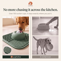 PupHollow — 2-in-1 Lick Mat + Slow Feeder