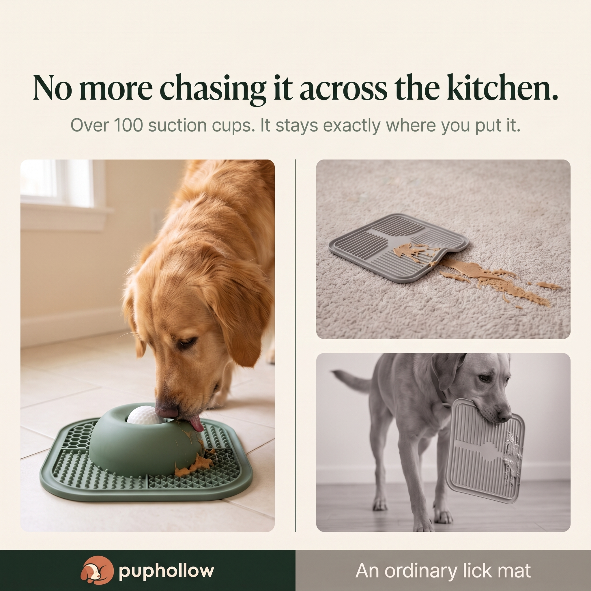 Dog bowl staying put — suction base demonstration